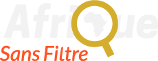 Afrique news logo